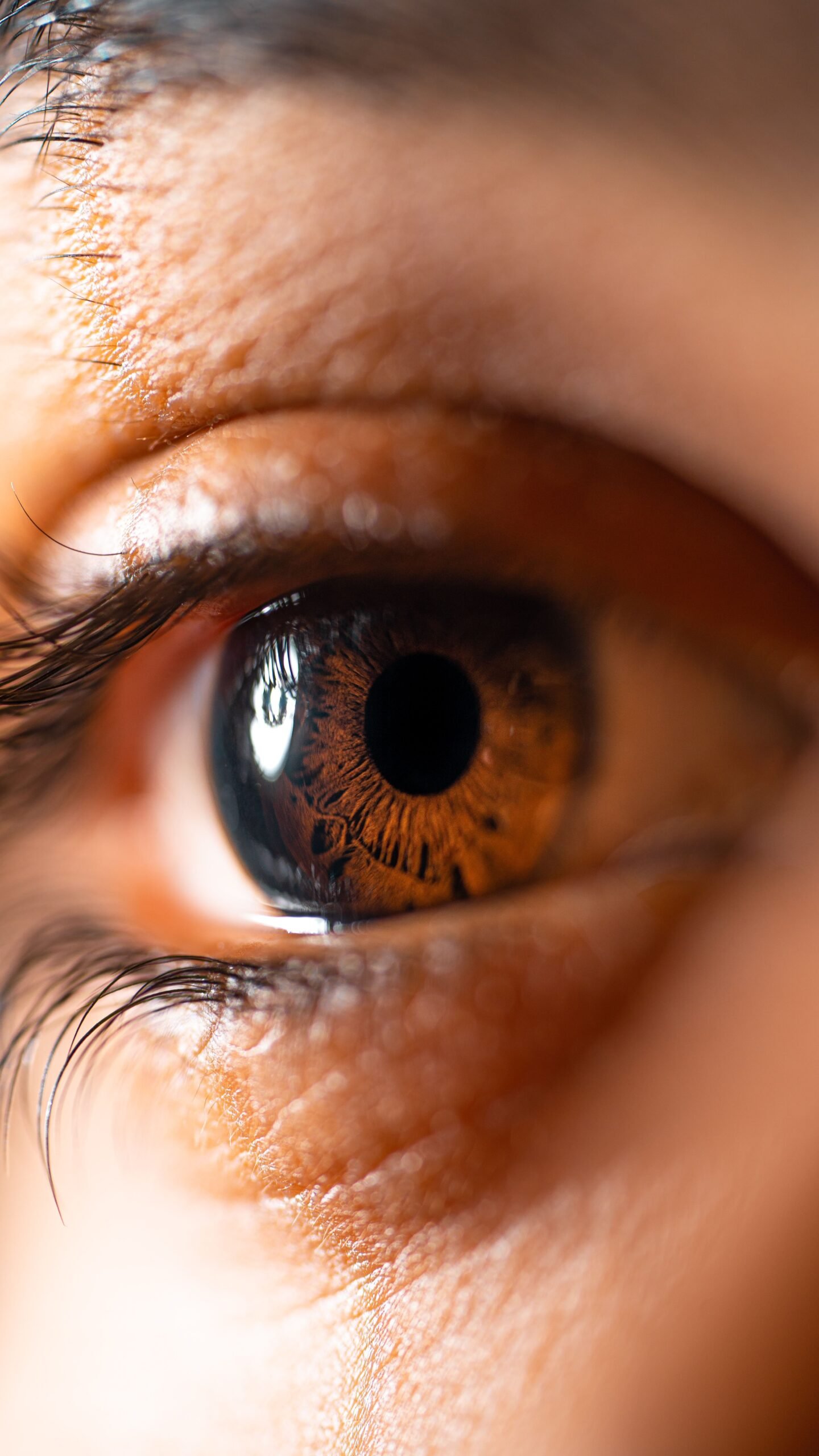 Perte de position sur Google : pourquoi l&rsquo;AI Overview et l&rsquo;AI Mode bouleversent votre SEO